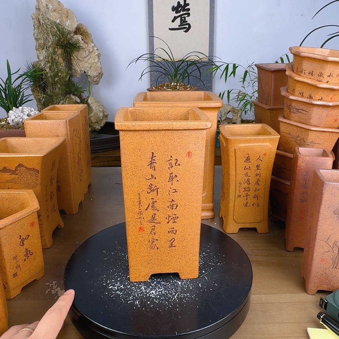 紫砂花盆阿*紫砂花盆