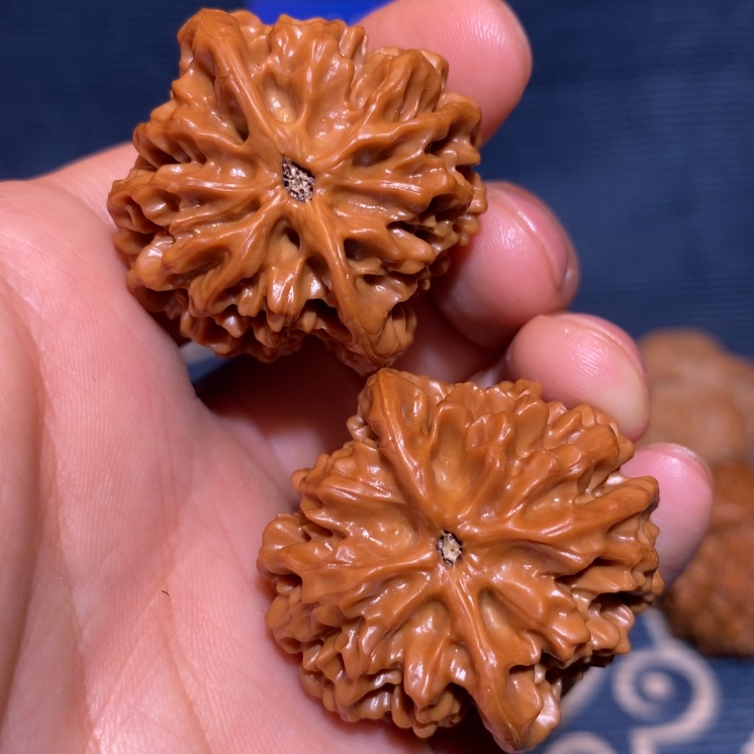 34尺 全品无修打好底 秦闷