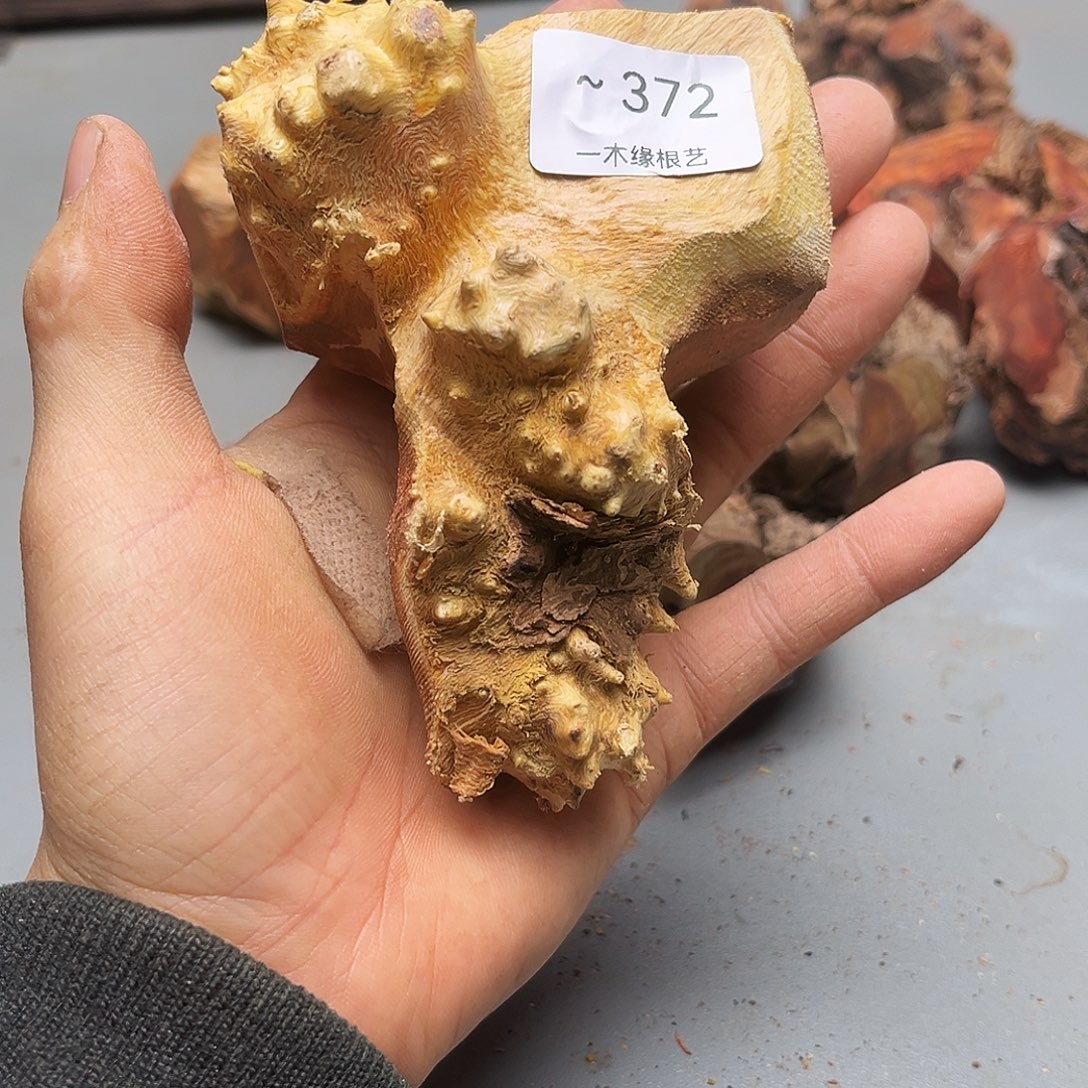 回***笑无花朵0000000000372