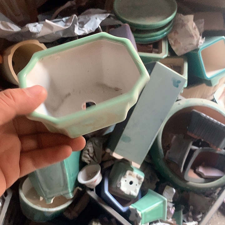 紫砂优秀青年科技学院教授一