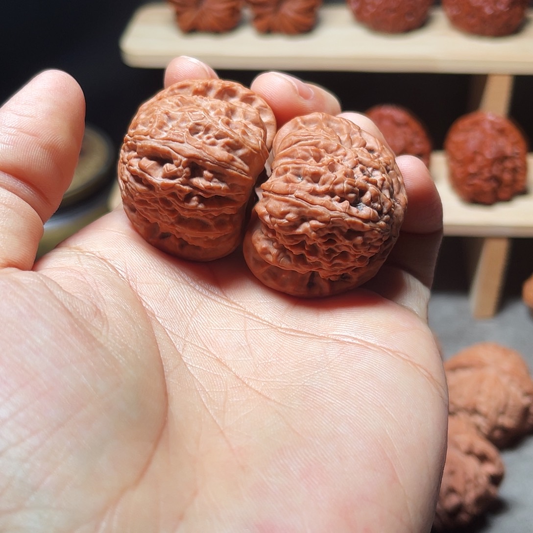 人***浅文玩核桃把件白狮子