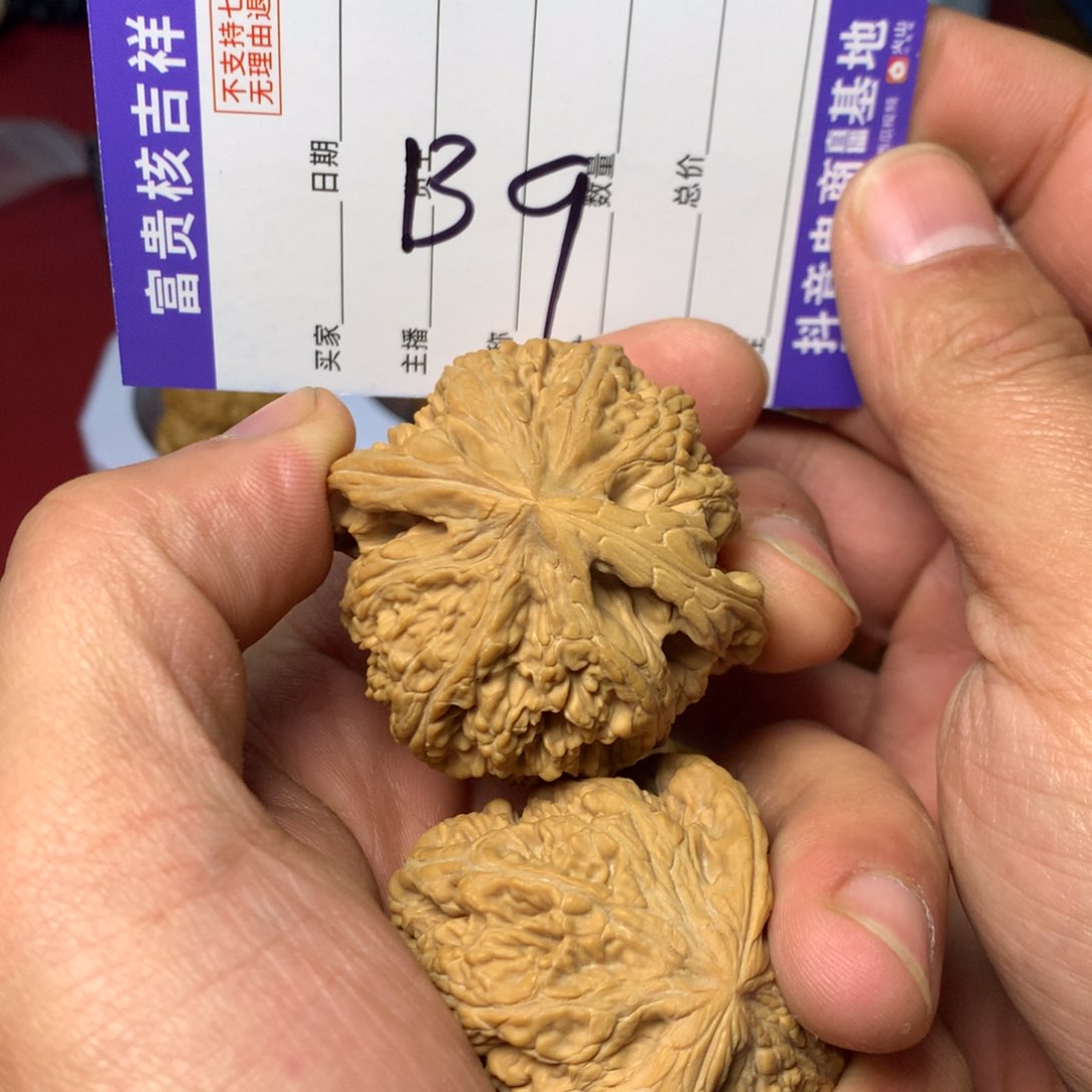 核桃把件尺寸48平谷大粗筋