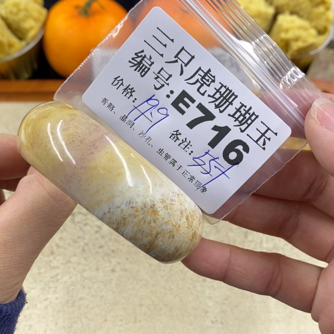 硅化珊瑚（珊瑚玉）1未镶嵌?****