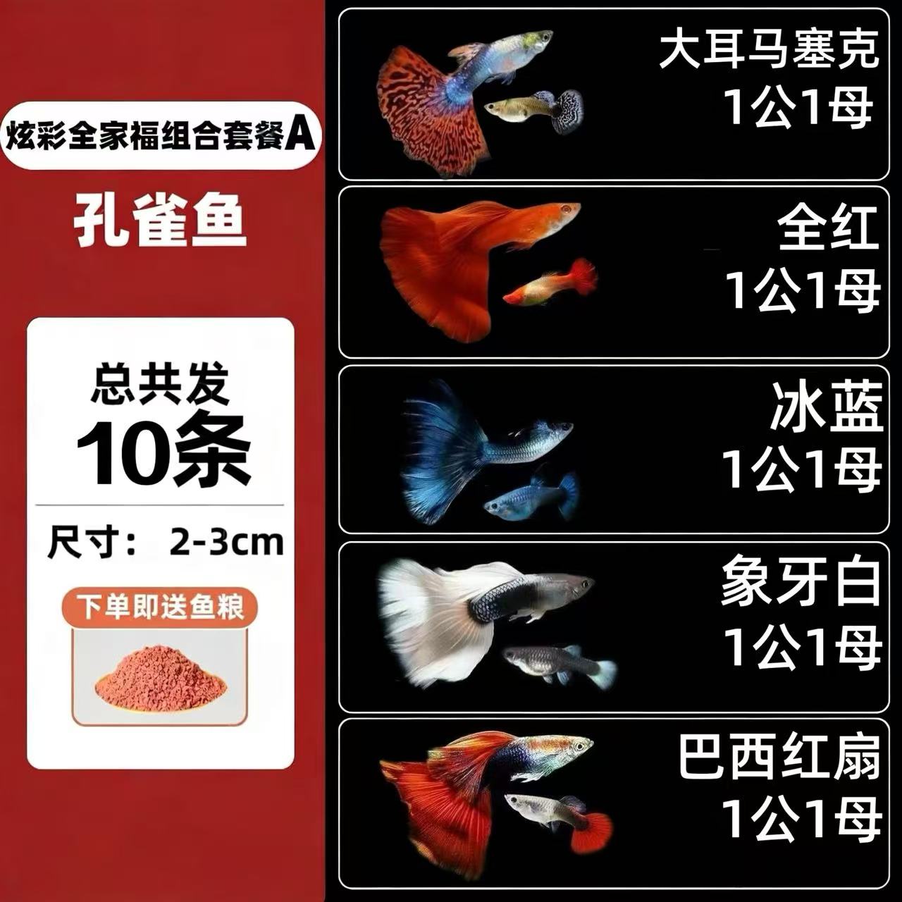 全家福孔雀鱼多品种随机发新手练手经济实惠好养耐活