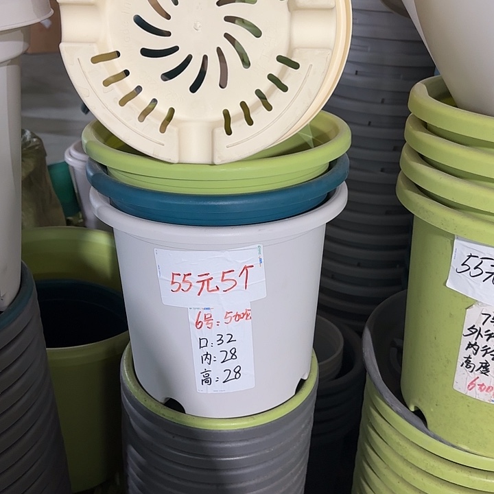 微瑕6#口径32无托果绿5个