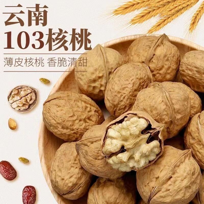 2025新货云南饱满无苦涩味核桃103果薄皮核桃山核桃坚果原味