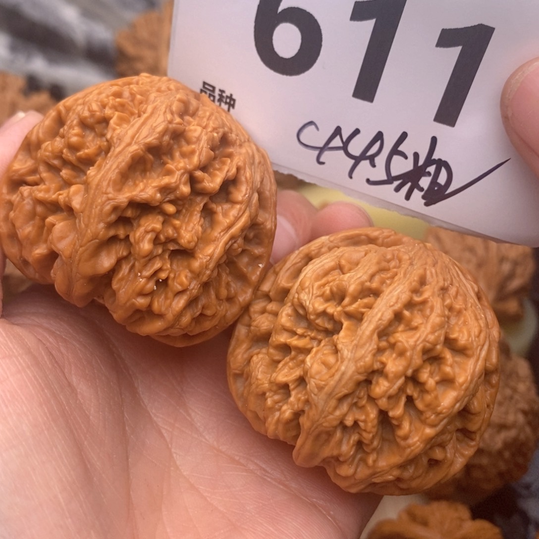 文玩核桃把件611号44.5粗筋