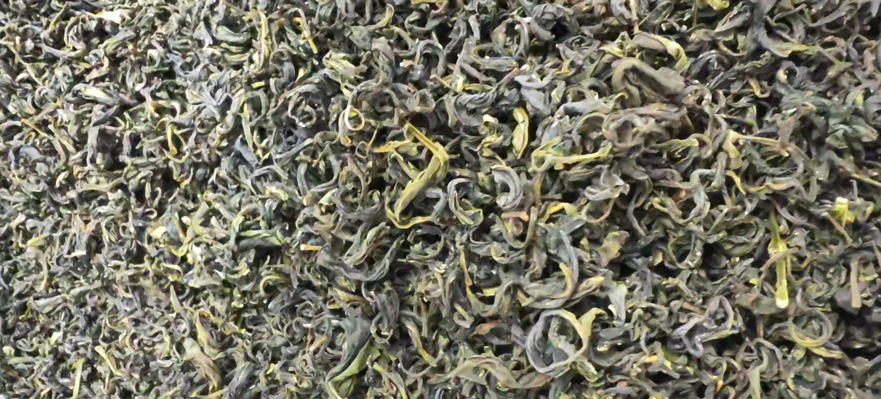 【日照绿茶】福利茶  回甘浓香爽口