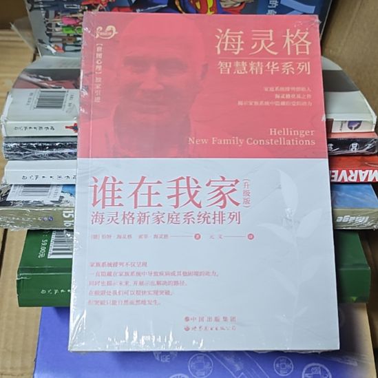 谁在我家海林格新家庭系统排列