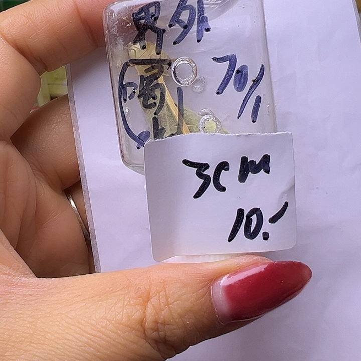 界***t哈哈哈哈哈哈哈哈哈哈哈哈哈哈