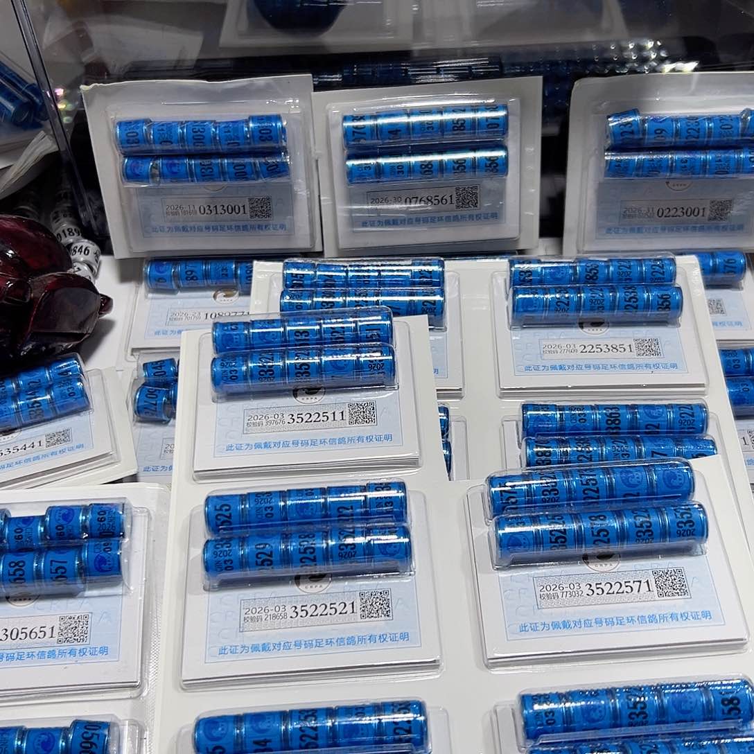 记****者001。03 信鸽环