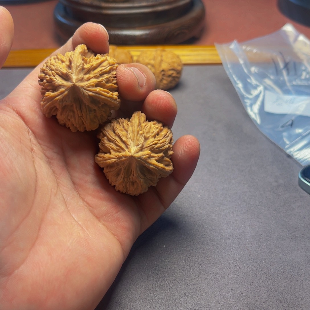 文玩核桃把件御龙粗筋