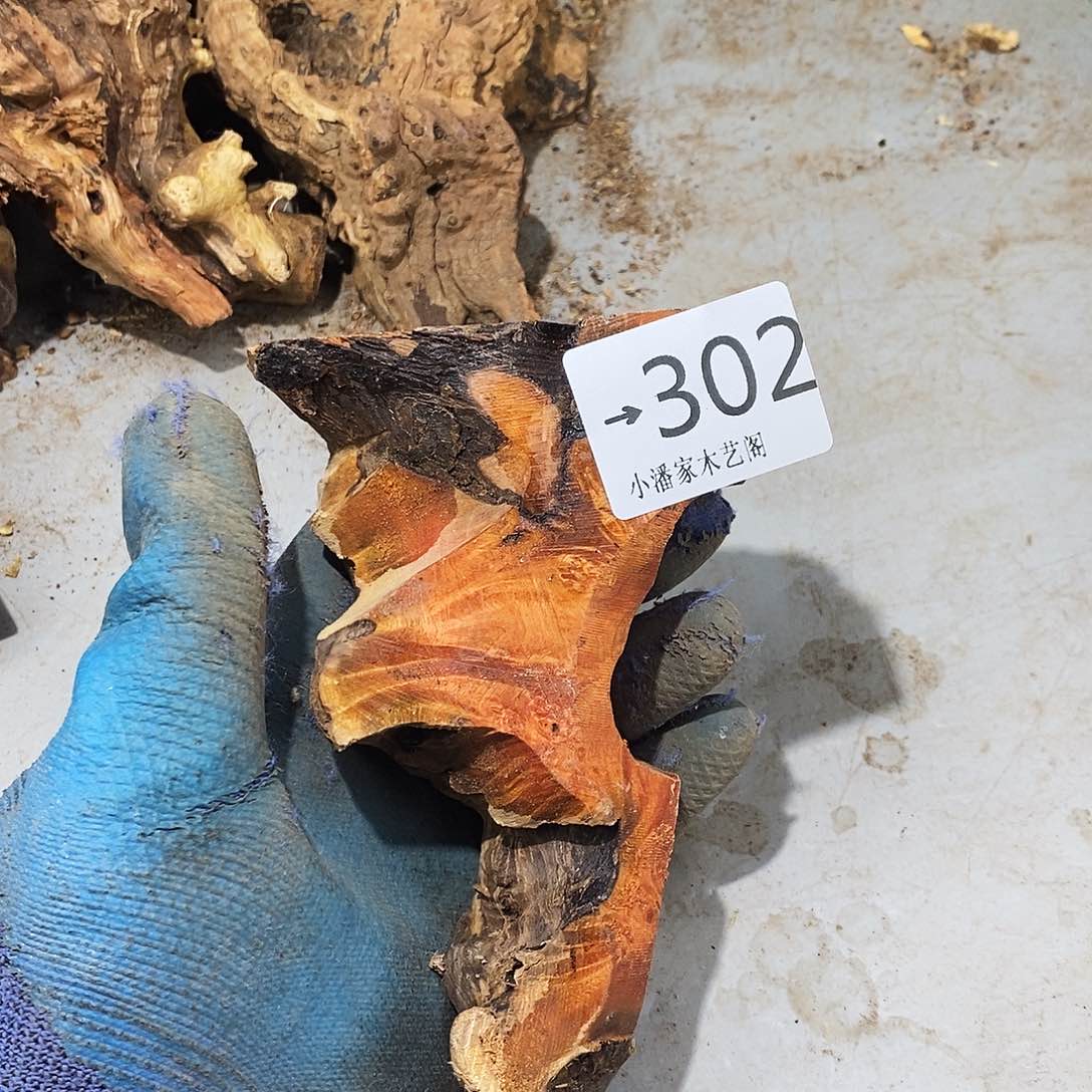 香榧木?火琉璃……火琉璃