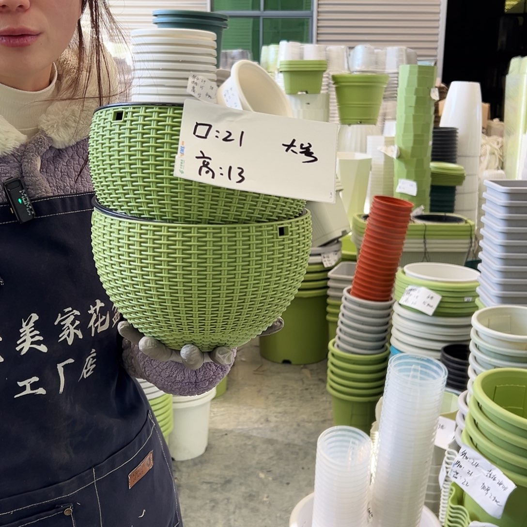 瑕疵吊兰大号果绿6套