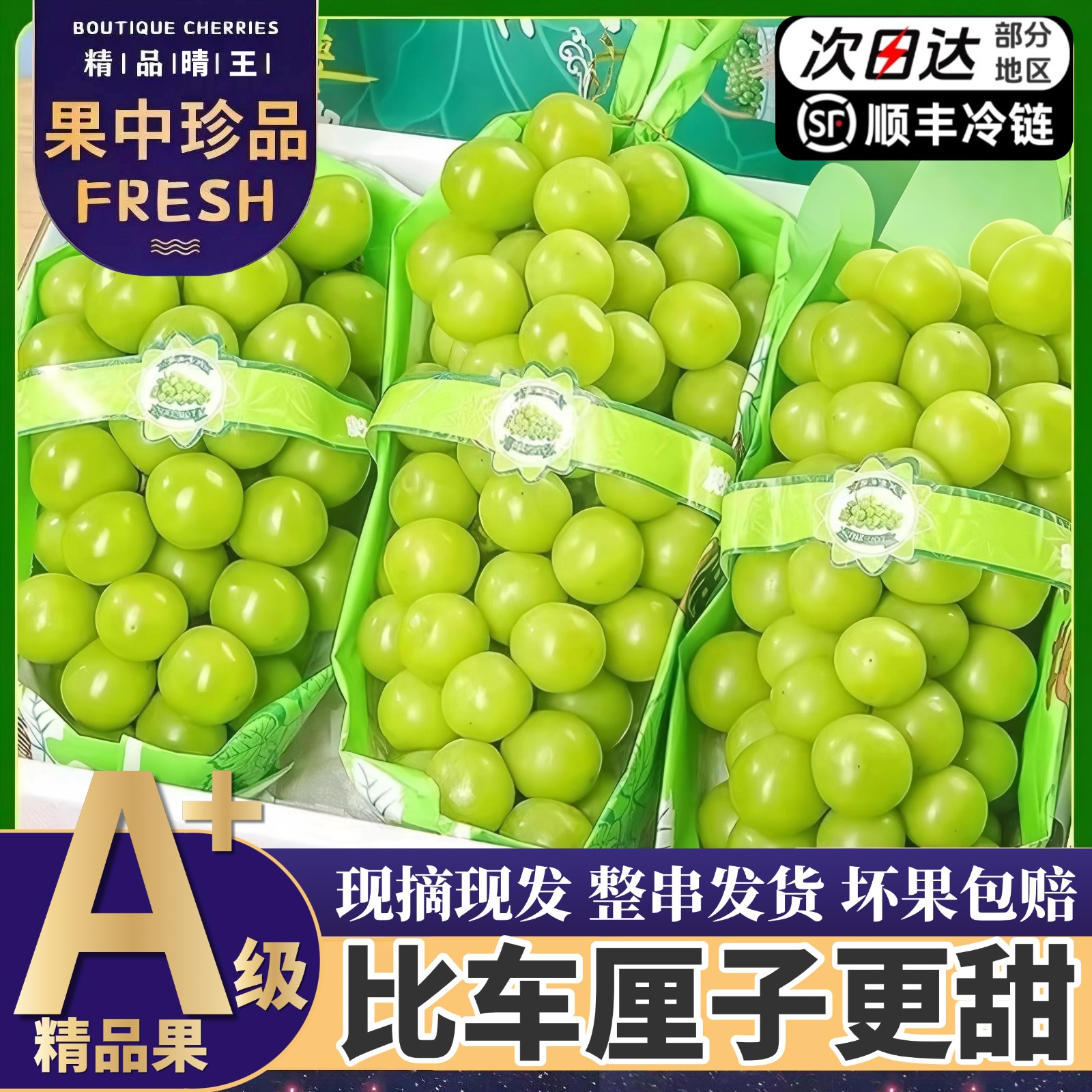 顺丰次日达【5斤大果整箱】精品阳光玫瑰葡萄当季新鲜现摘现发3/5斤