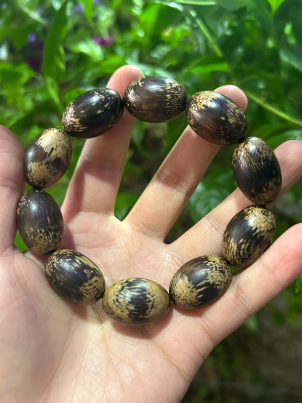 【土特产菇505】净含量32g