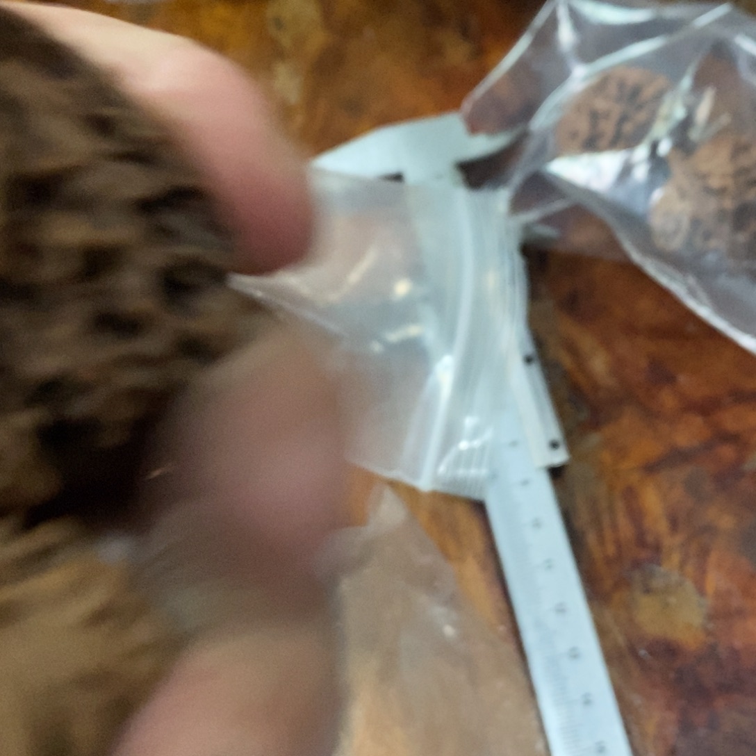 秦岭山脉东段西南