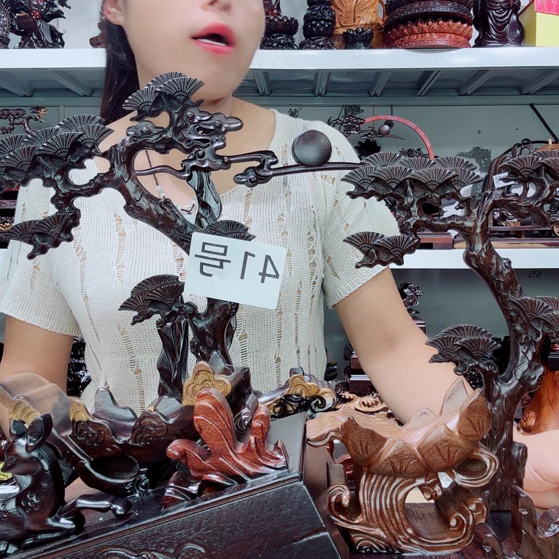 大果紫檀（缅甸花梨）41