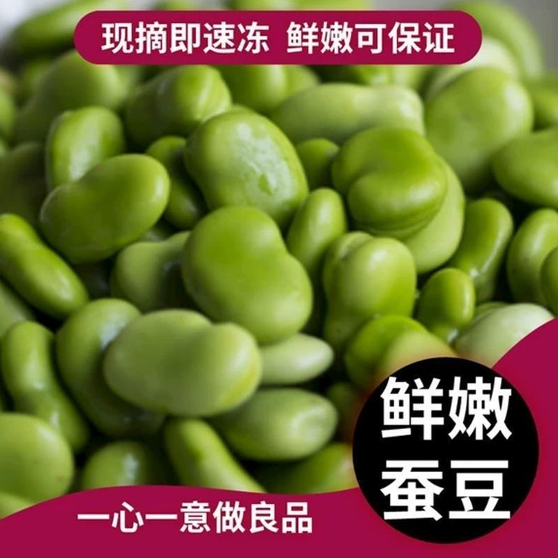 苏北新鲜速冻蚕豆
