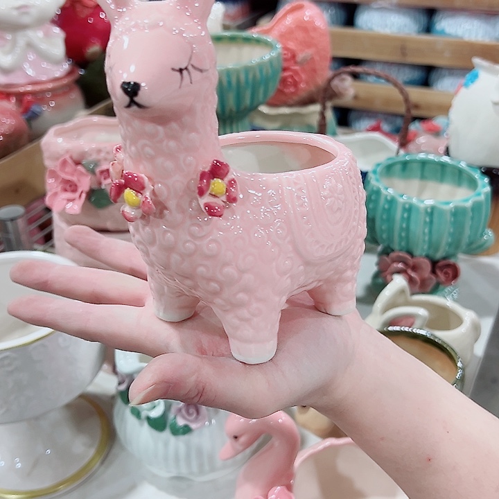 有孔，凑单福利满10元发货陶瓷多肉花盆！