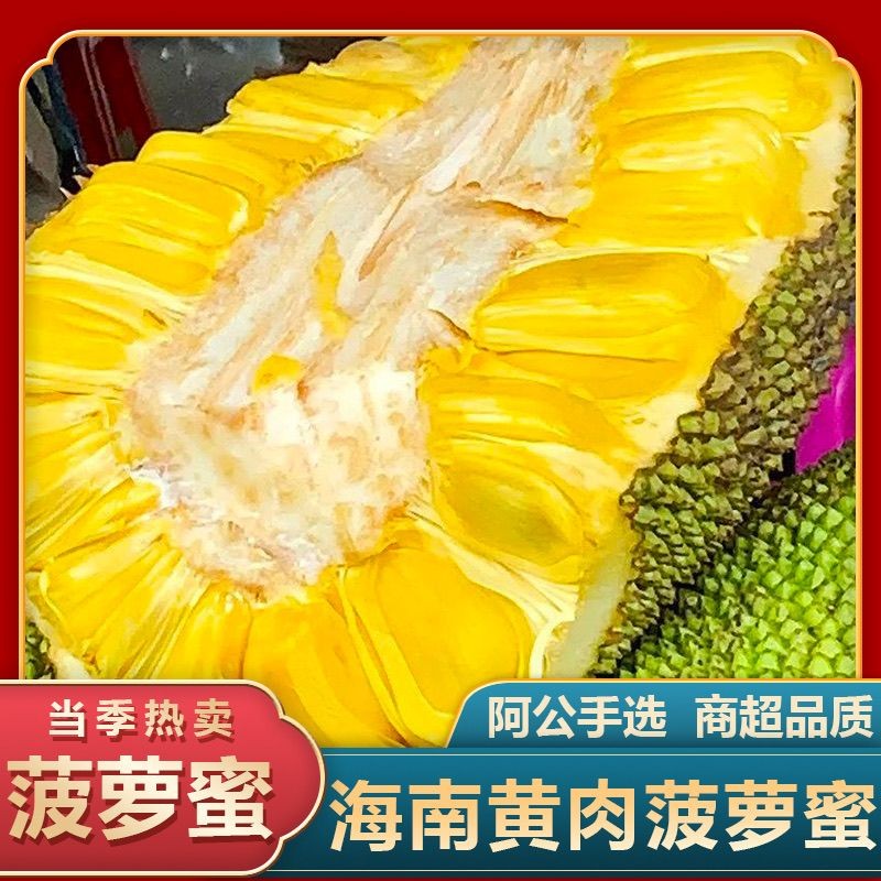 【直播选果】海南菠萝蜜一整个新鲜当季干苞黄肉波罗蜜水果整箱包邮