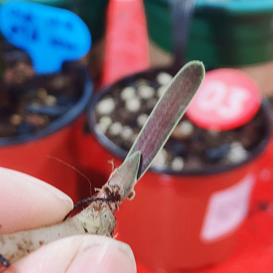 用***9完全开放健健康康快快乐乐