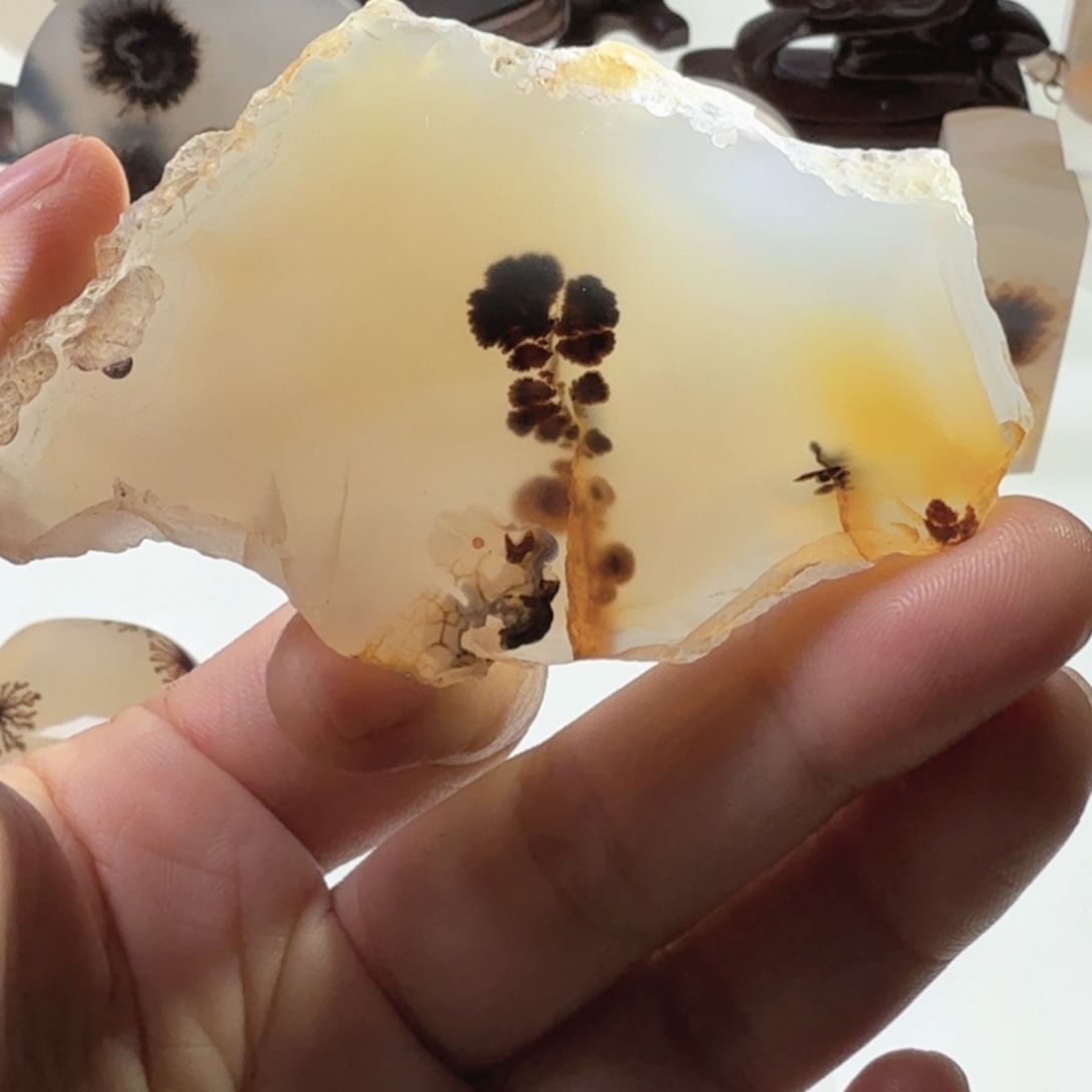 赵***.未镶嵌玛瑙/玉髓珠宝半成品