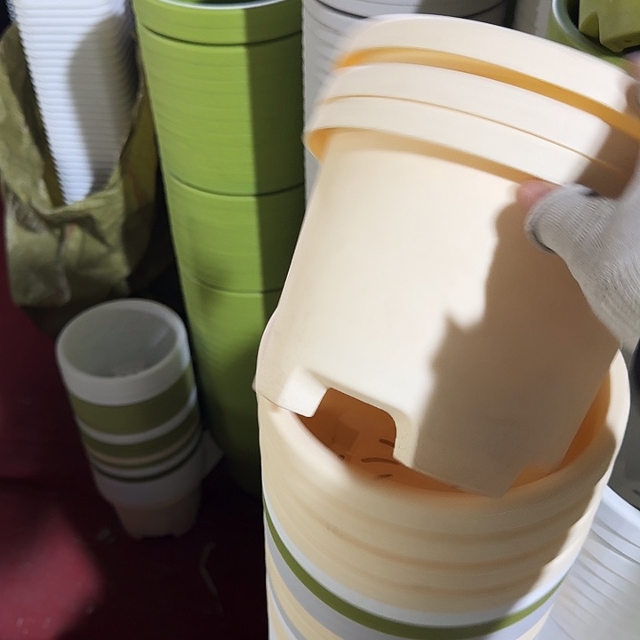 球根21口径6个无托米黄