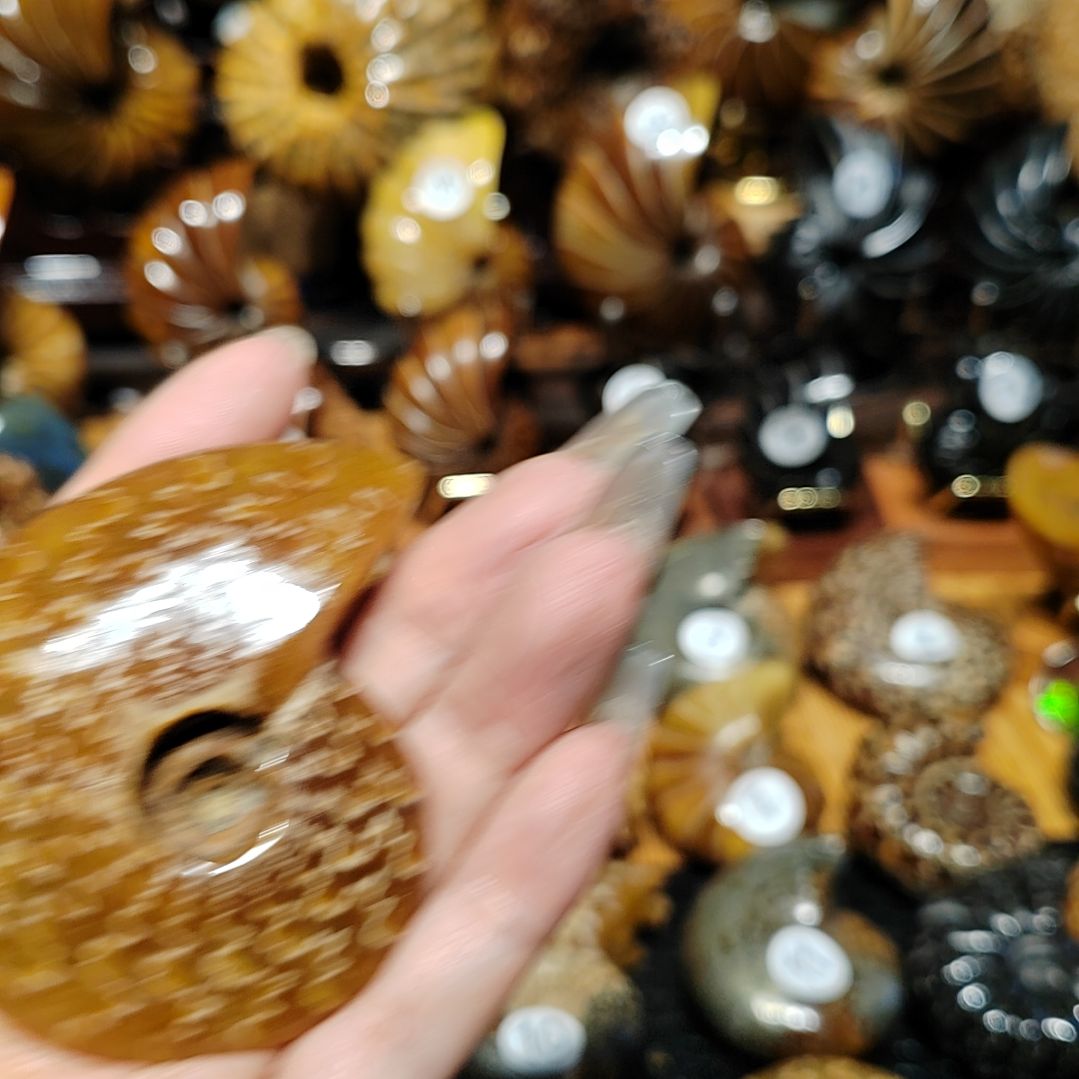 喝****拉玉海螺化石手把件吊坠