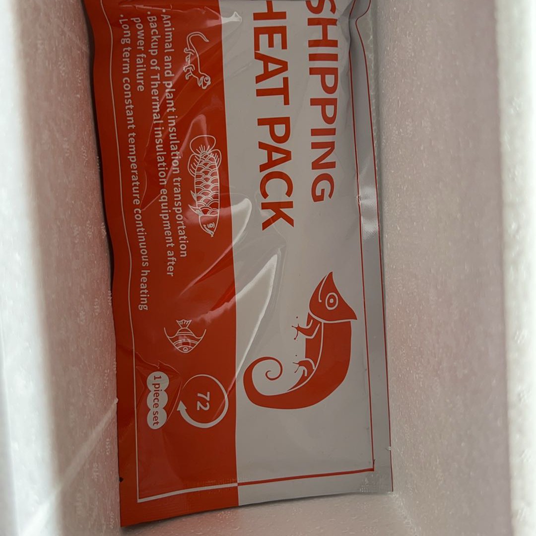 发货请拍泡沫箱加热包72，110小时爬宠加温使用（不拍不包运输风险）