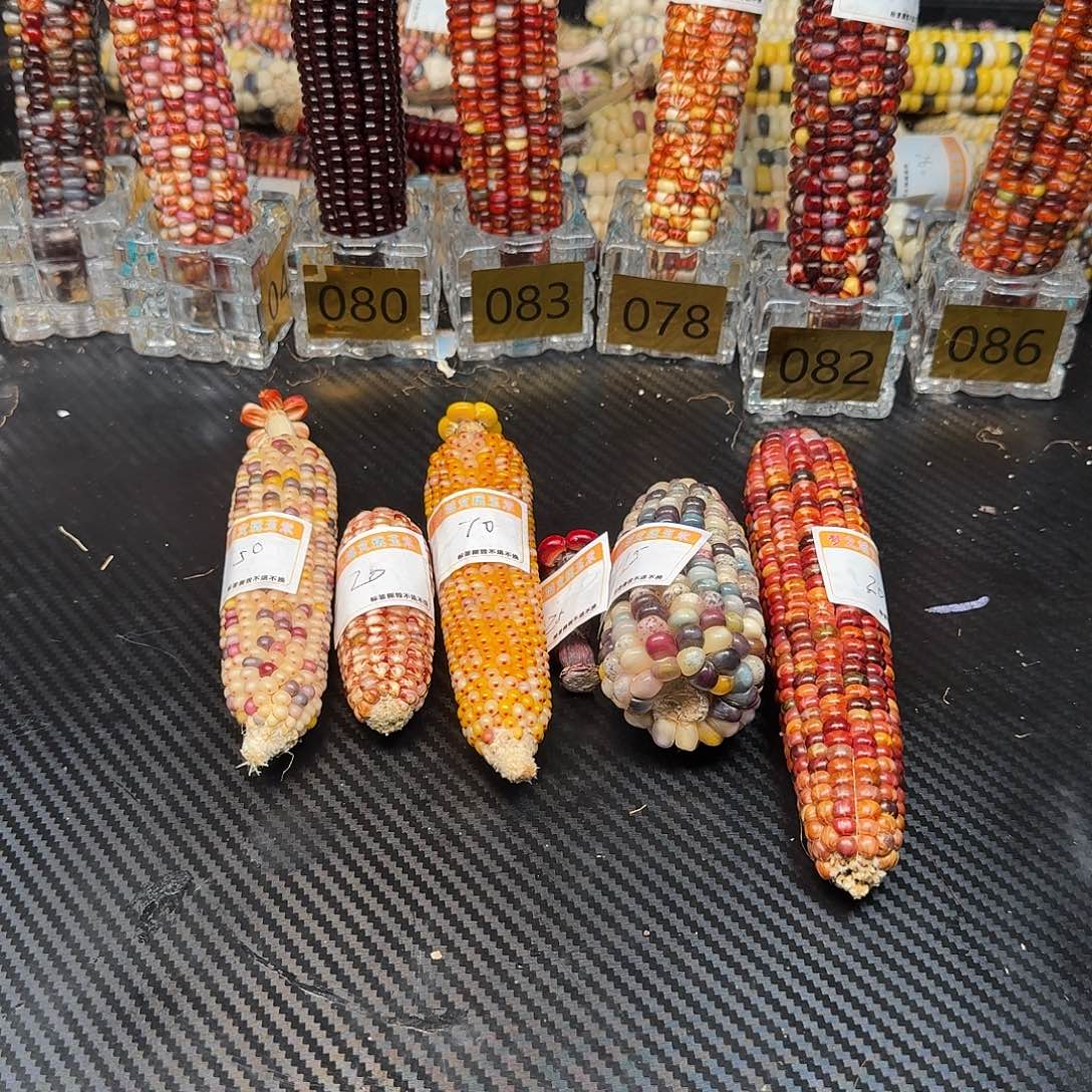 ʚ***然大叶紫檀（黑酸枝木类）