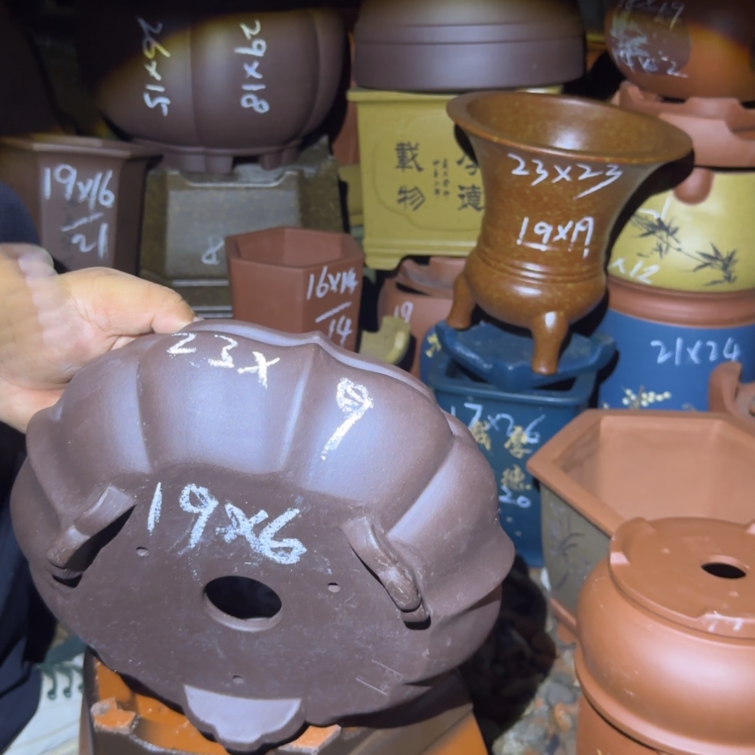 紫砂花盆紫砂花盆花盆盆景盆栽