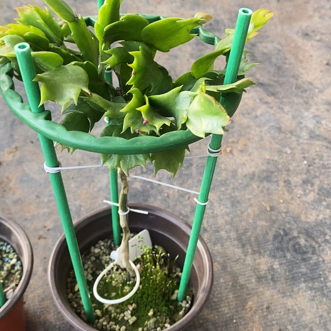 我***休完全开放福利款单层