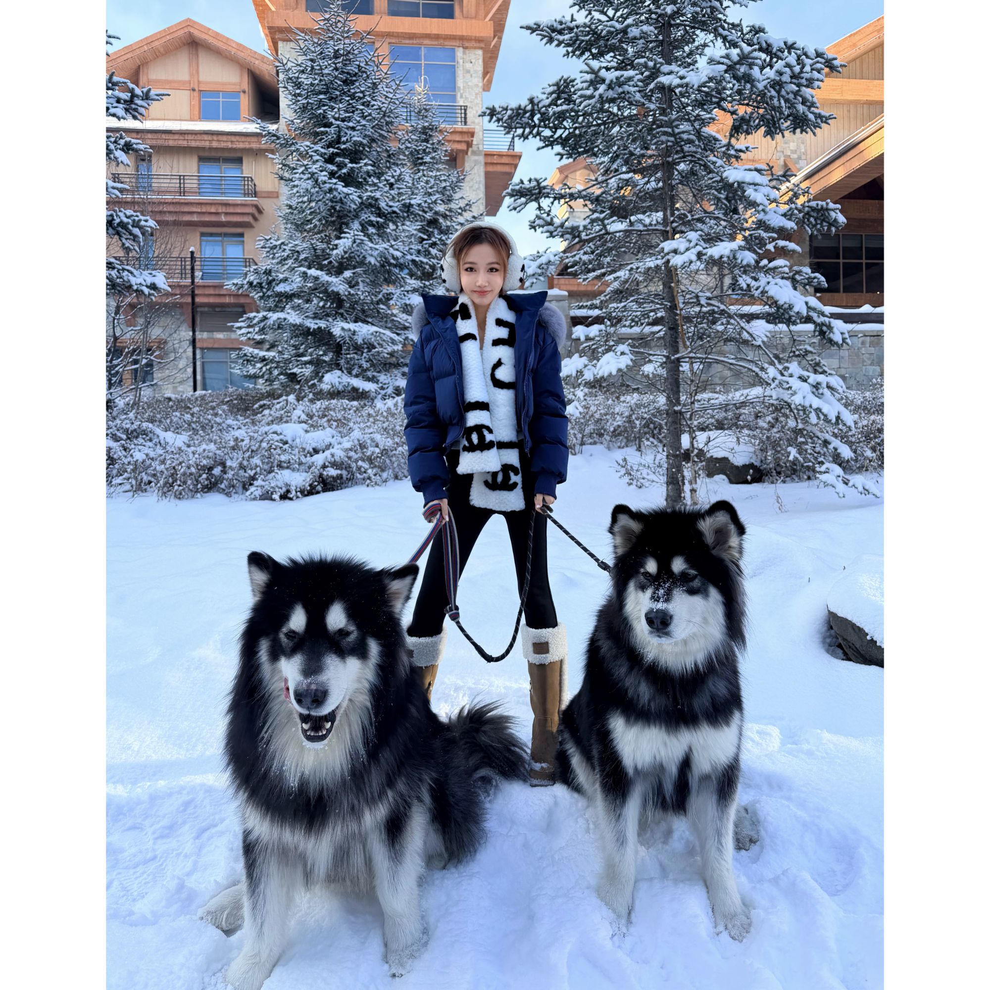 Janie Yee“雪山·大福”90白鹅绒真毛领短款羽绒服外套女 25A3543