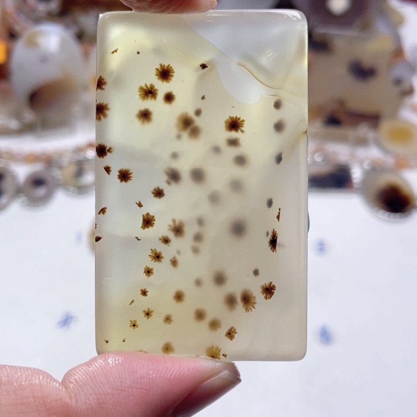 【闪购商品】玛瑙/玉髓颈饰未镶嵌