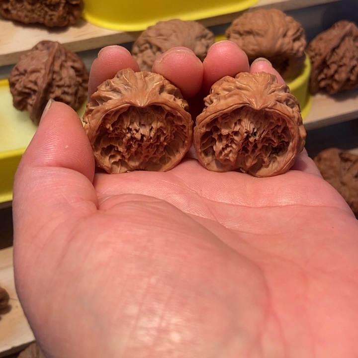 官方网站发布消息