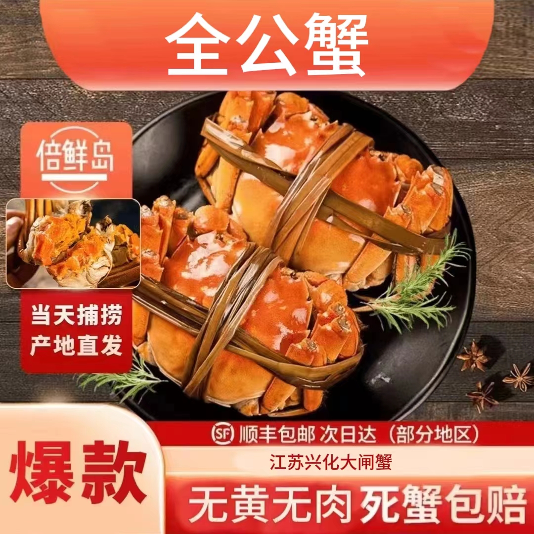 【活蟹现发缺1脚10只5斤】全公蟹5两10只装江苏兴化大闸蟹