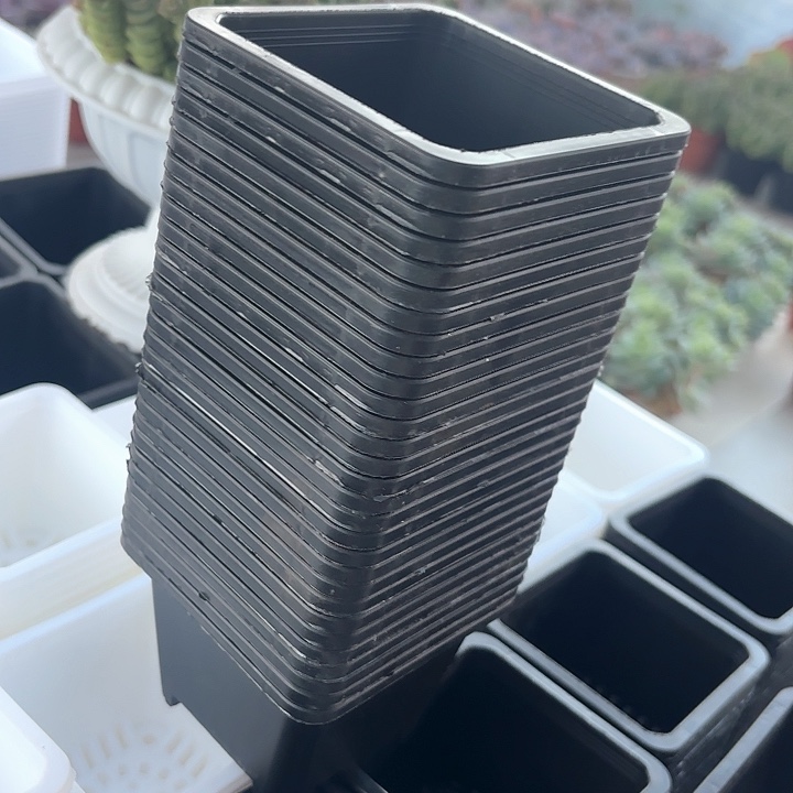 哲***活100黑方高7公分10个