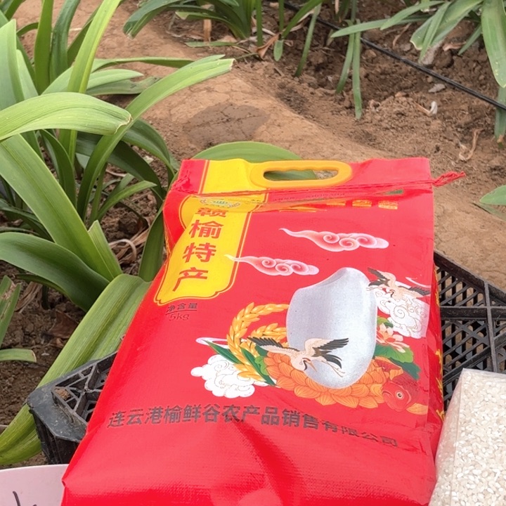 无花朵纯天然无公害胚芽香米红色包装