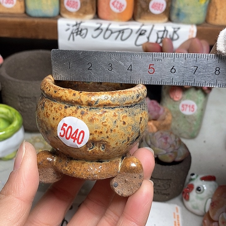 红陶拍5送一个小