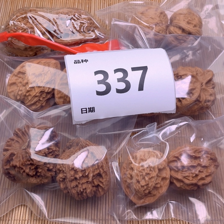 文玩核桃把件337号6对带练手龙胆元宝