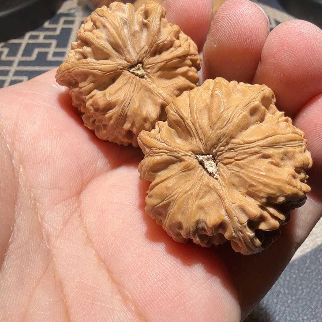 文玩核桃把件州*御龙