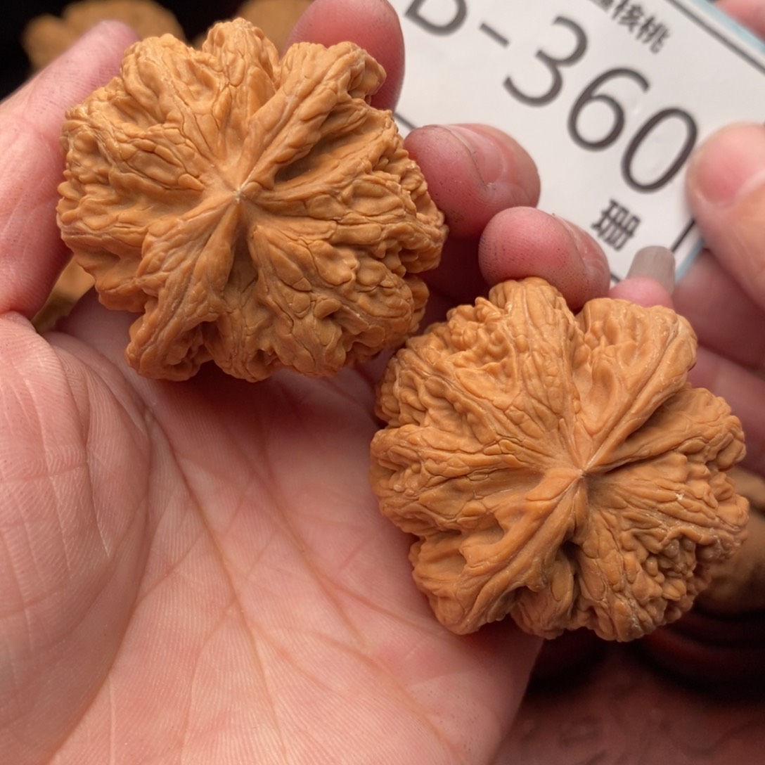 文玩核桃把件粗筋43