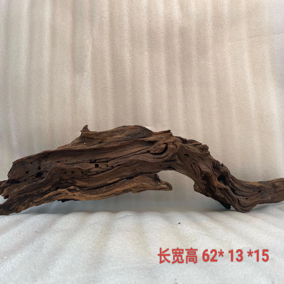 紫柚木 鱼缸造景 一木成景