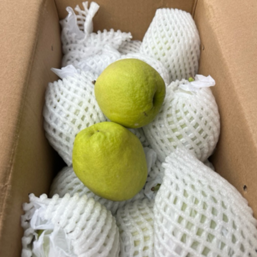 福利-正宗库尔勒香梨，整箱5斤左右