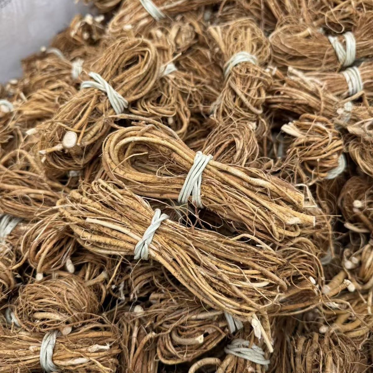  五子毛桃根  煲汤根 初级农产品