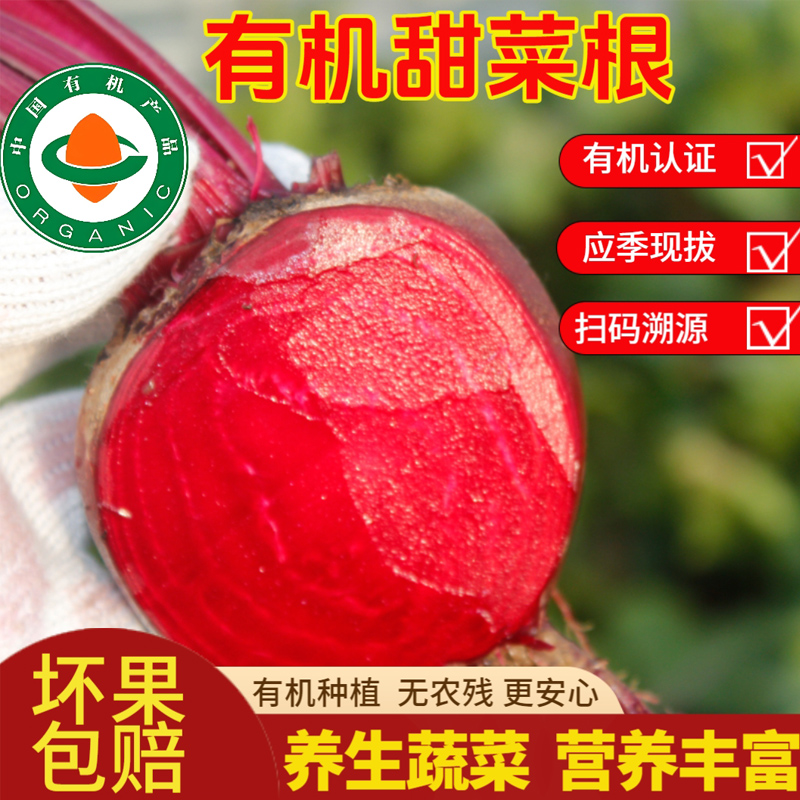 有机认证现拔新鲜甜菜根装现挖红菜头紫菜头火风果打汁农产品
