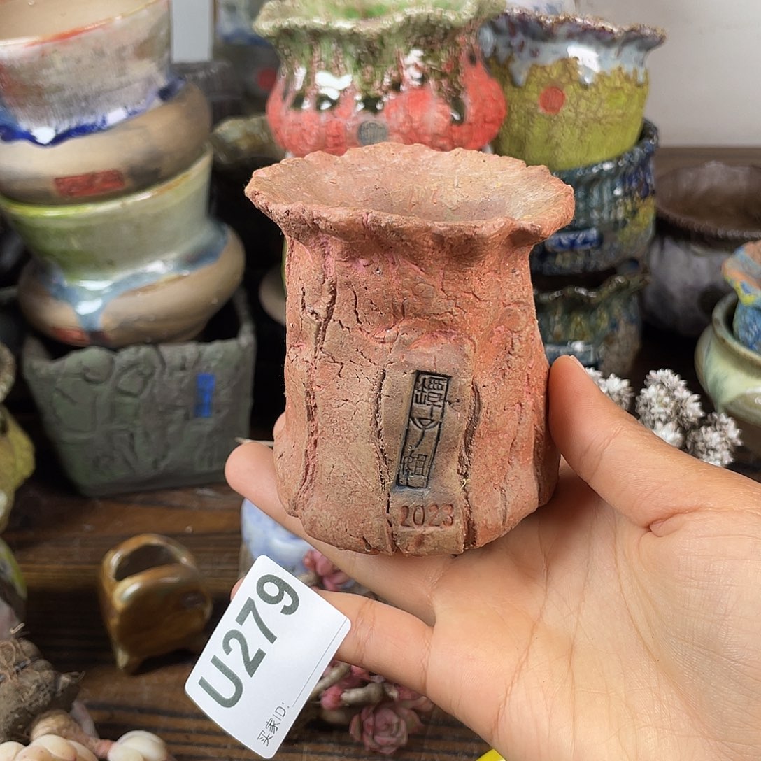 默认微次 跨年福利 坛子姐花盆