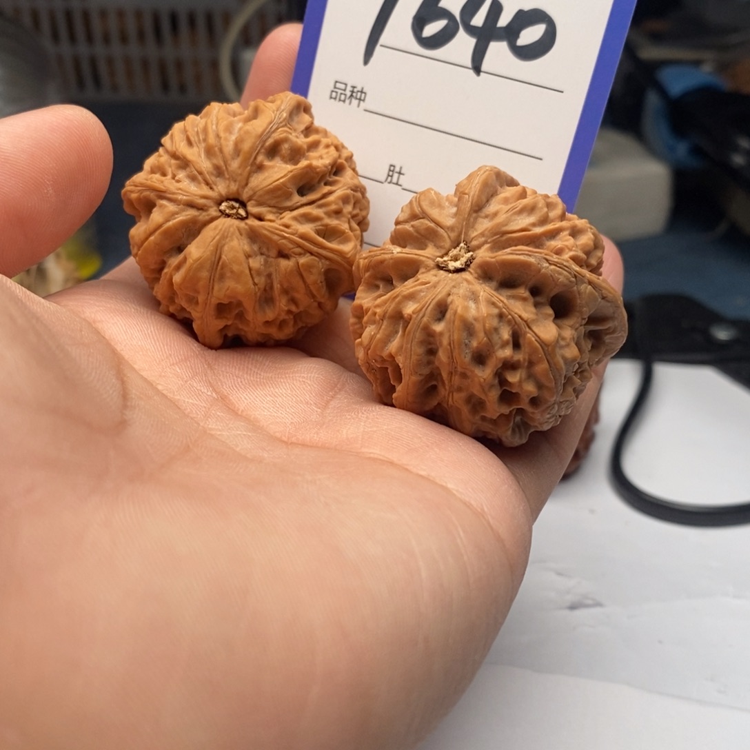 把件文玩核桃1640