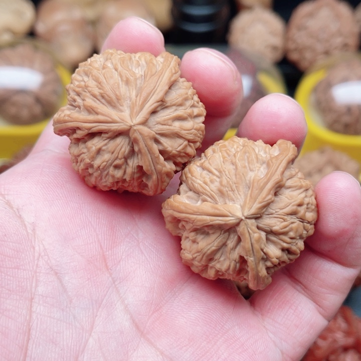 文玩核桃把件白狮子三棱36×36×35